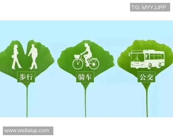 绿色出行新选择:探索自行车在城市交通中的多重价值与发展潜力